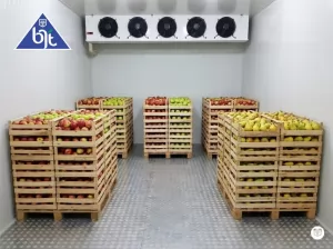 Chiller Cool Storage: Solusi Cerdas Menjaga Kesegaran Sayur dan Buah